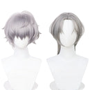 2 Kinds Anime Alien Stage Till Cosplay Wig Slivery Grey Daily Hair - AwwwCos