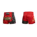 2 Kinds Thai Muay Ufc Training Fight Sanda Summer Training Boxing Shorts - AwwwCos