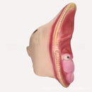 Beetlejuice Adam Barbara Cosplay Mask Terror Facepiece