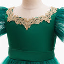 Child Girls Xmas Cosplay Costume Christmas Tree Embroidery Tutu Green Dress - AwwwCos