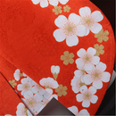 Game Mortal Kombat Mai Shiranui Cosplay Costume - AwwwCos