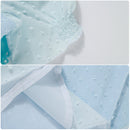 Elizabeth Hamilton Colonial Victorian Ball Gown Maiden Costume - AwwwCos