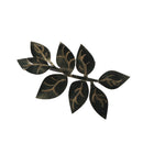 AwwwCos Honkai Star Rail Dr Veritas Ratio Cosplay Costume