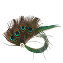 Kids Flower Girl Tutu Deluxe Peacock Dress for Wedding Party - AwwwCos