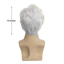 10 Kinds Men Short Wavy Synthetic Natural Side Part hair Realistic Daily Cosplay Wig