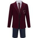 Plus Size Roald Dahl Matilda the Musical Burgundy Cosplay Costume - AwwwCos