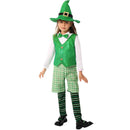 St. Patrick's Day Green Suit Kid Cosplay Costume Beard Accessory - AwwwCos