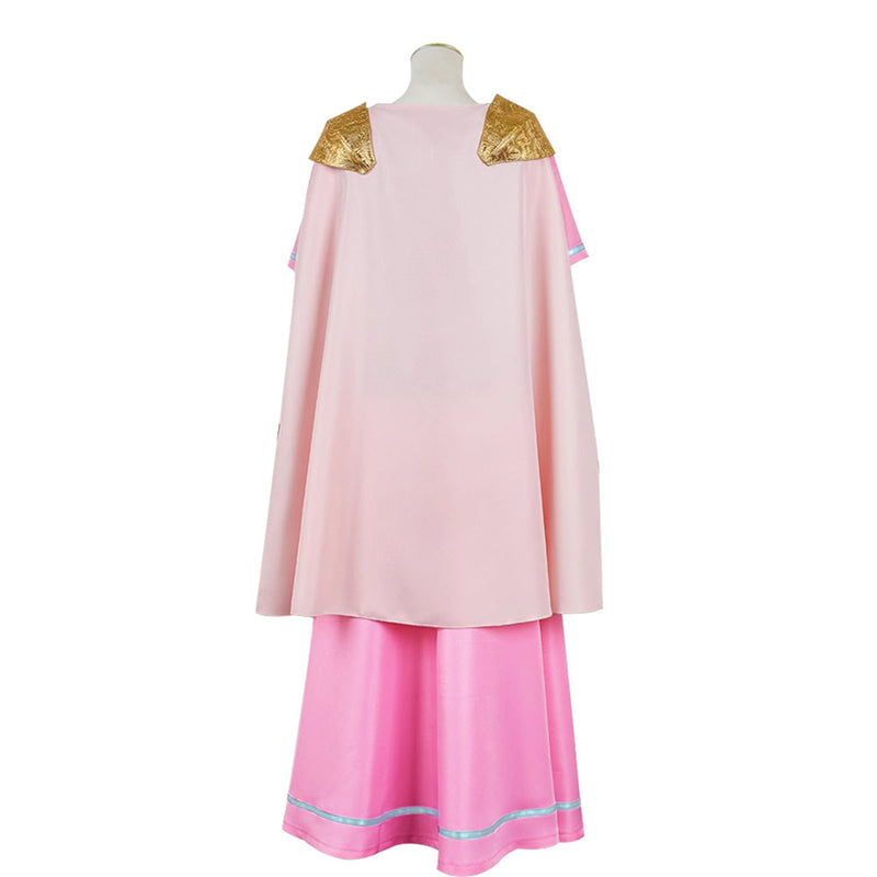The Legend of Zelda: Echoes of Wisdom Zelda Prince Cosplay Costume